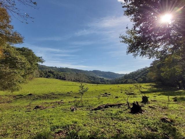 #096 - Área de terras para Venda em Bento Gonçalves - RS