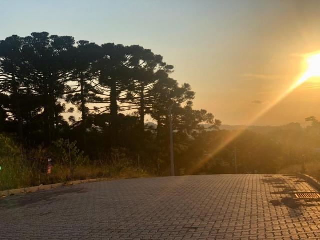 Venda em Brazilia - Garibaldi