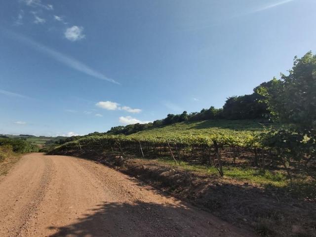 #136 - Área de terras para Venda em Pinto Bandeira - RS - 3