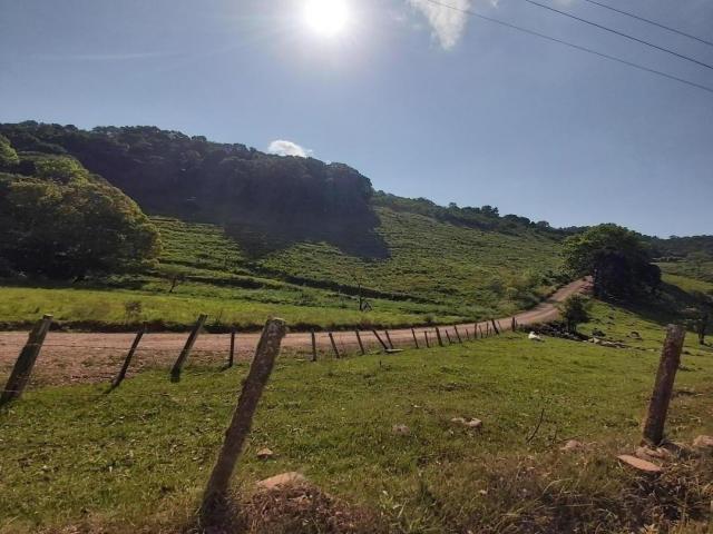 #136 - Área de terras para Venda em Pinto Bandeira - RS - 2