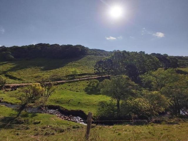 #136 - Área de terras para Venda em Pinto Bandeira - RS - 1